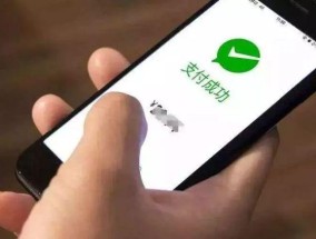 全年资料大全免费警惕虚假宣传、全面解答与解释