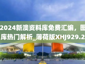 493333WWW马头诗,专家解说解,警惕虚假宣传-全面释义、解释与落实