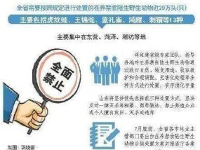 新澳灵蛇资料今晚晚2025年,警惕虚假宣传-全面释义、解释与落实