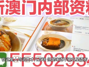 2025正版澳门资料精选解析、解释与落实