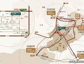 2025年新澳门王中王详细解答、解释与落实