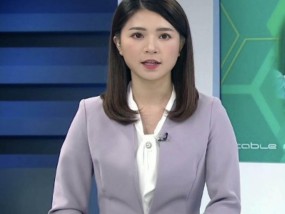 香港资料大全正版资料2025年免费精选解析、解释与落实