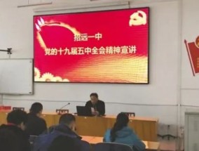 一码一肖一特一中2025请全面2释义、解释与落实