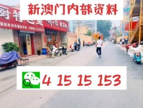 2025年新澳门天天开好彩大全请全面释义、解释与落实