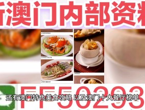 澳门码开奖结果2025开奖记录查询的全面释义、解释与落实