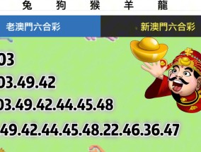 2025澳门免费精准六肖详细解答、解释与落实
