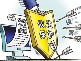 新澳精准资料免费提供,警惕虚假宣传-全面释义、解释与落实