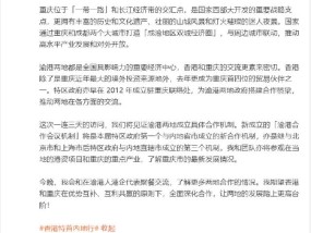 香港资料内部资料精准仔细释义、解释与落实