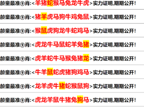 澳门资料大全 正版资料2025年详细解答、解释与落实