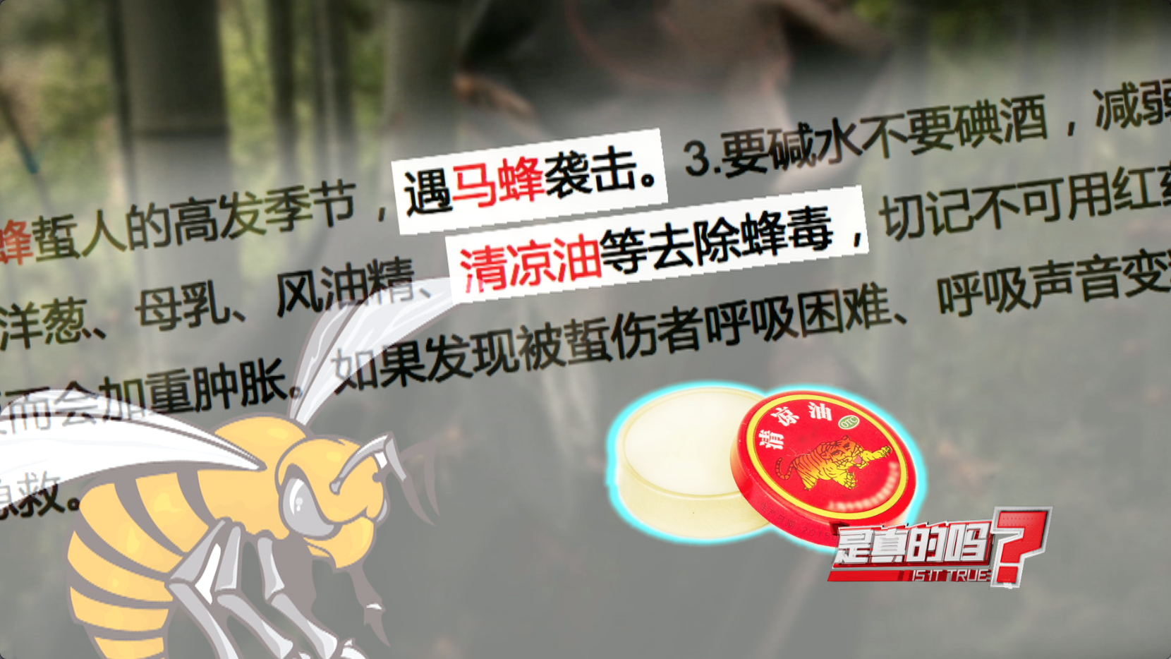 澳特一码一肖一特警惕虚假宣传、全面解答与解释