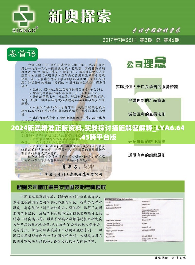 2025年新澳正版资料查询方法的全面释义、解释与落实