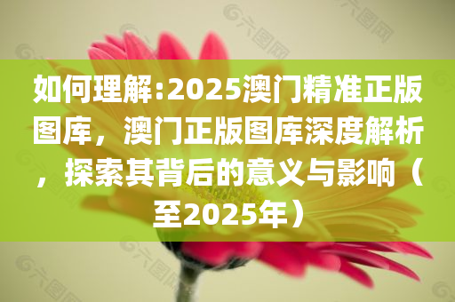 2025新澳门精准图库请全面释义、解释与落实