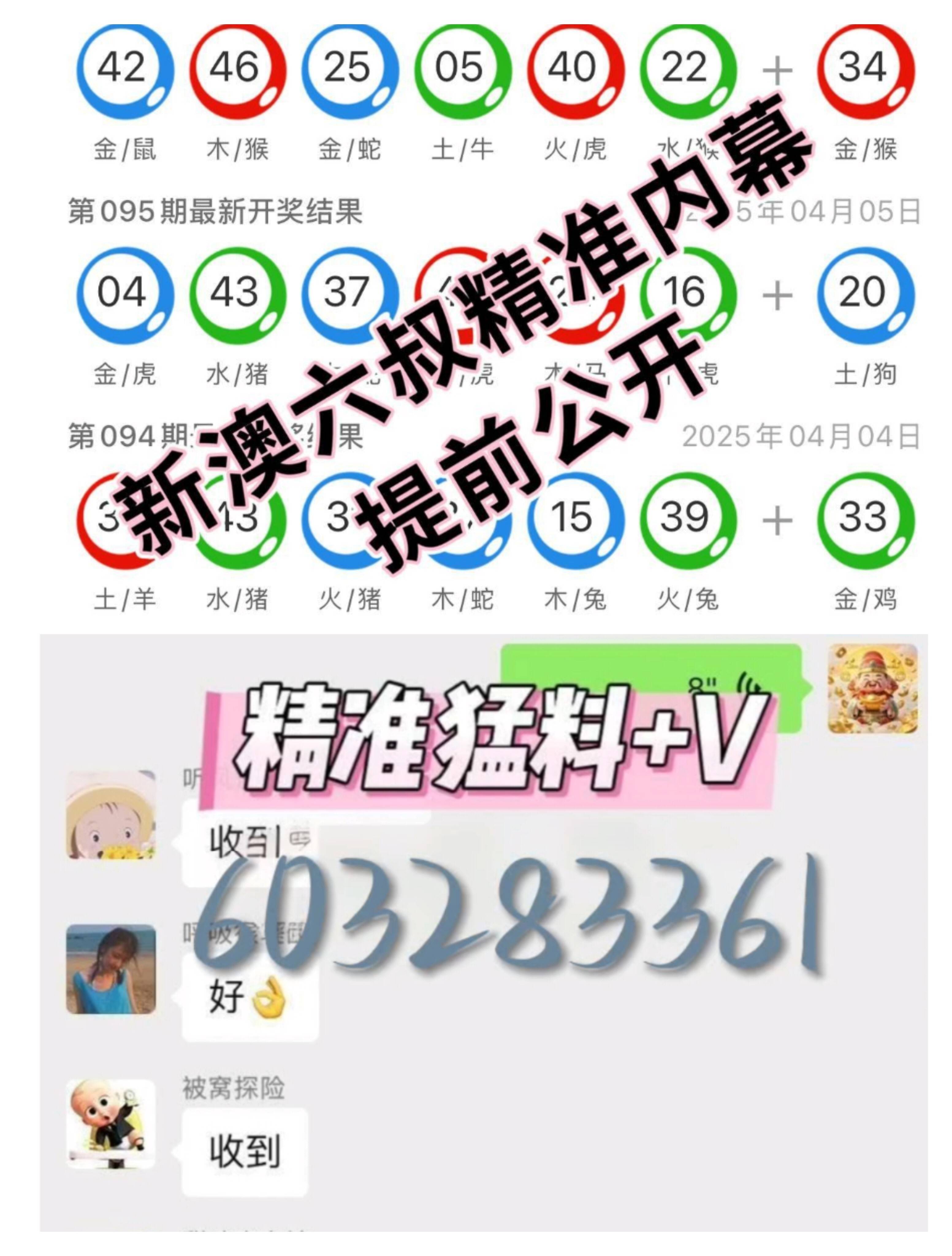 2024年新澳门天天开奖免费查询精选解析、解释与落实 2024年新澳门天天开奖免费查询精选解析、解释与落实